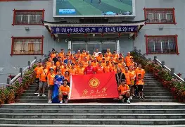 关于高尔夫友谊赛，荆楚海豚队与姑苏铁骑队大胜，阵地战处理得当！定位球制造杀机的信息