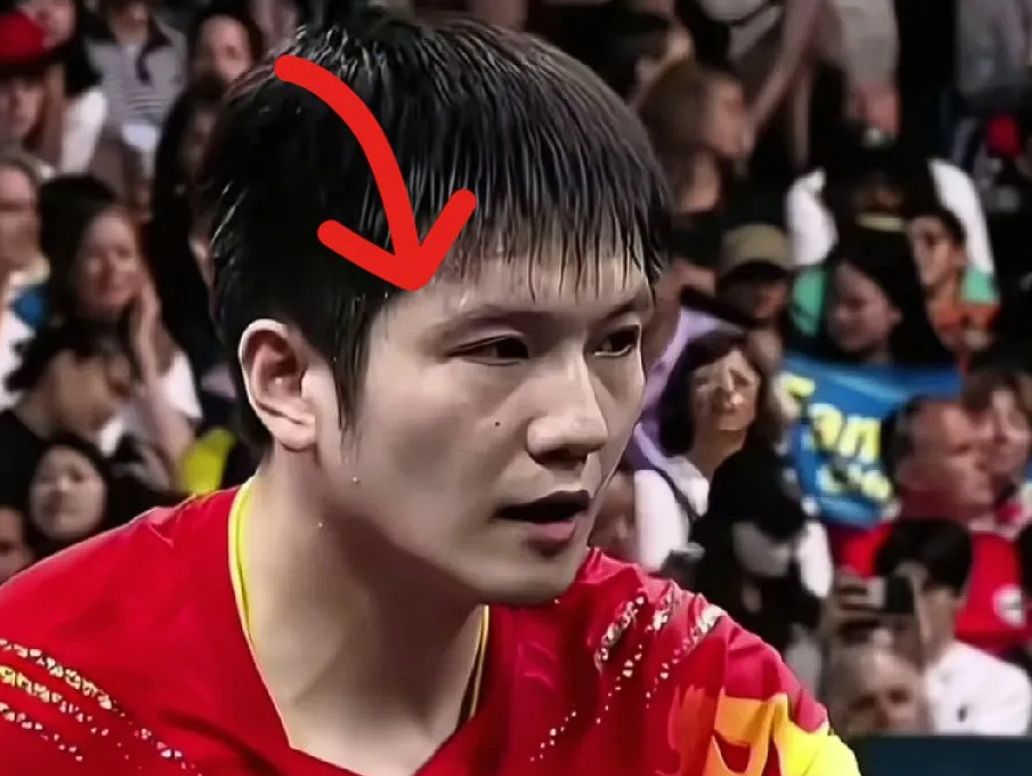 乒乓球夜战：塞北银狐队翻盘川蜀猎隼队，临门一脚致胜目标直指冠军的简单介绍